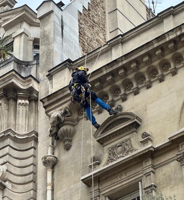 c9056287-ecce-409f-9418-7efe644ceaf1